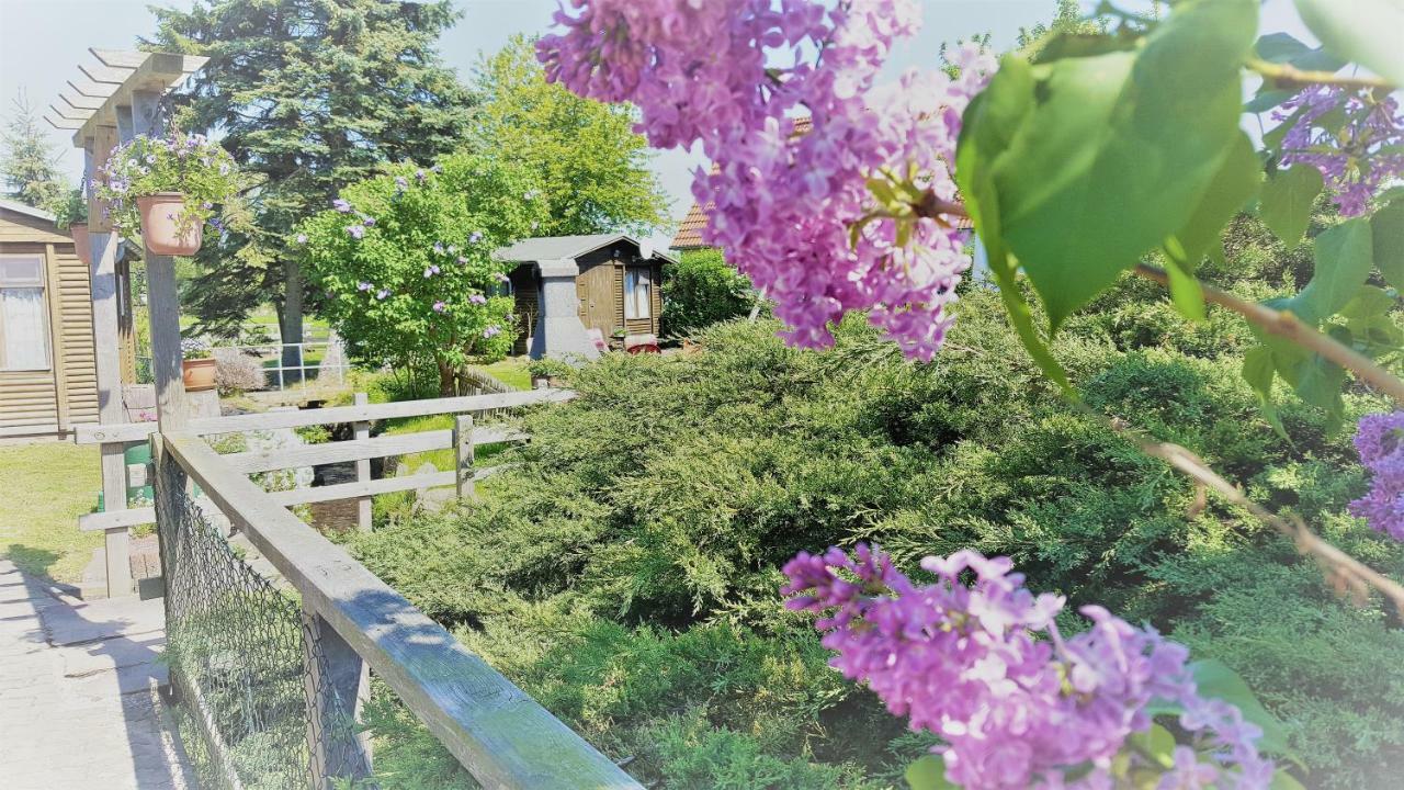 Appartement Urlaub Beim Schmied à Ostseebad Kühlungsborn Extérieur photo