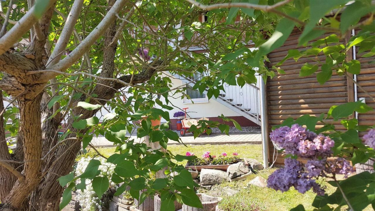 Appartement Urlaub Beim Schmied à Ostseebad Kühlungsborn Extérieur photo